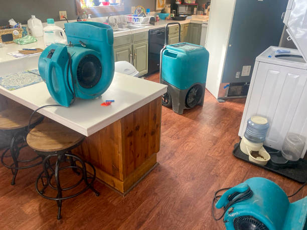 Best Mold removal after water damage  in Phoenix, OR