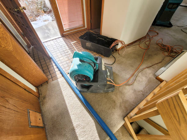 Best Local water damage restoration  in Phoenix, OR