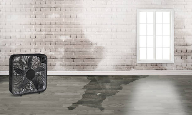 Best Residential water damage restoration  in Phoenix, OR