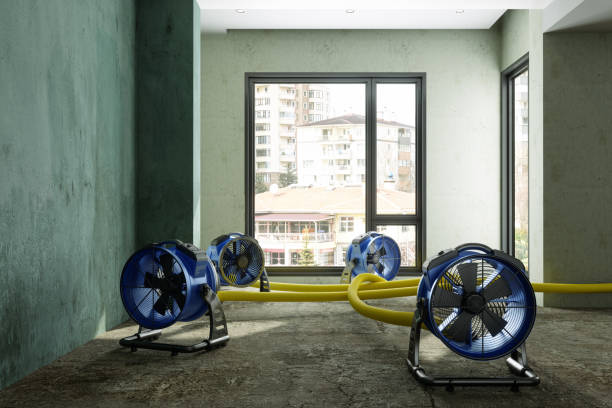 Best Carpet water damage restoration  in Phoenix, OR